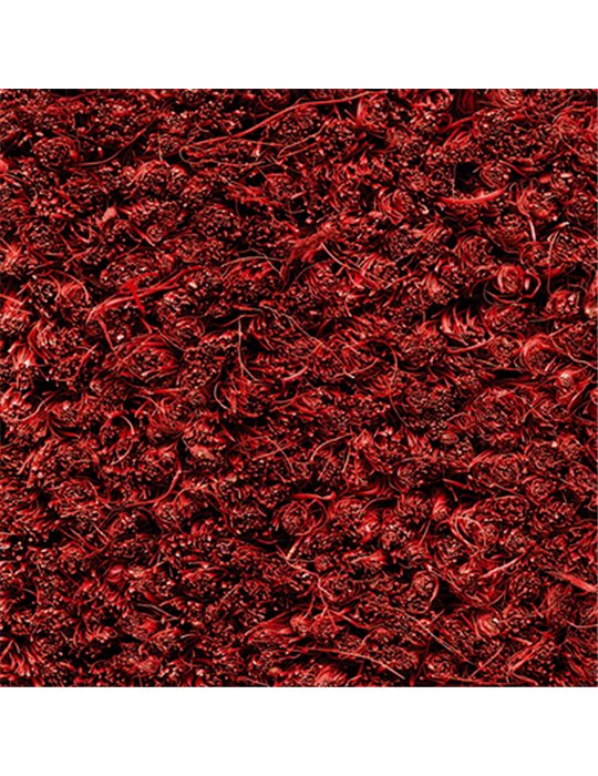 Entrématta Kokosborst  Fastbredd 100cm Röd (Endast ) Färg: Röd (endast 17 mm) Storlek: 17 mm
